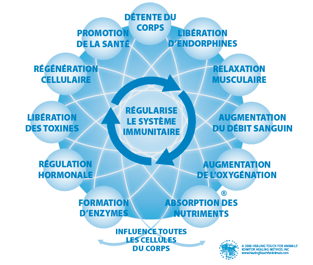 Schéma de la réponse physiologique